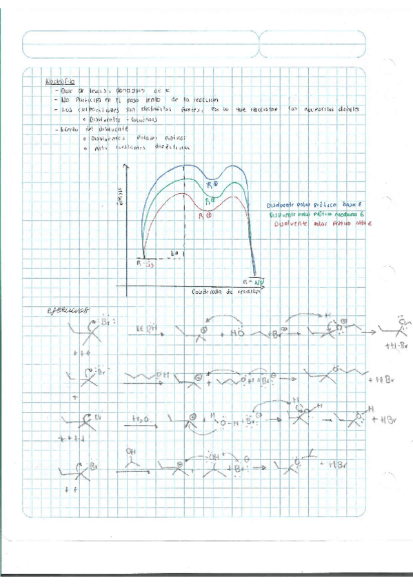 Miniatura del documento Escaner20250504-44.pdf