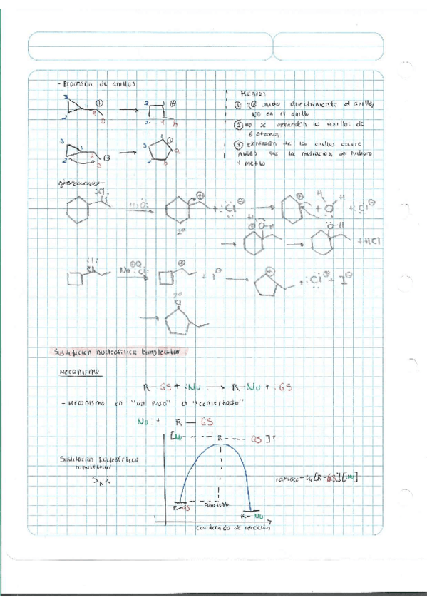 Miniatura del documento Escaner20250504-46.pdf