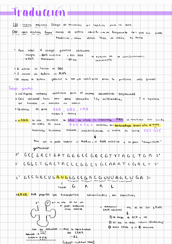 Miniatura del documento Traduccion-Genetica.pdf