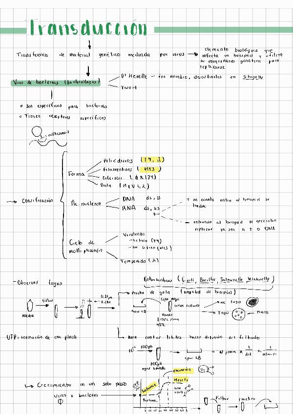Miniatura del documento Transduccion-Genetica.pdf