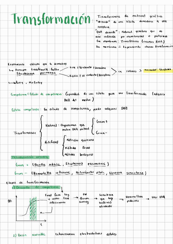 Miniatura del documento Transformation-Genetica.pdf