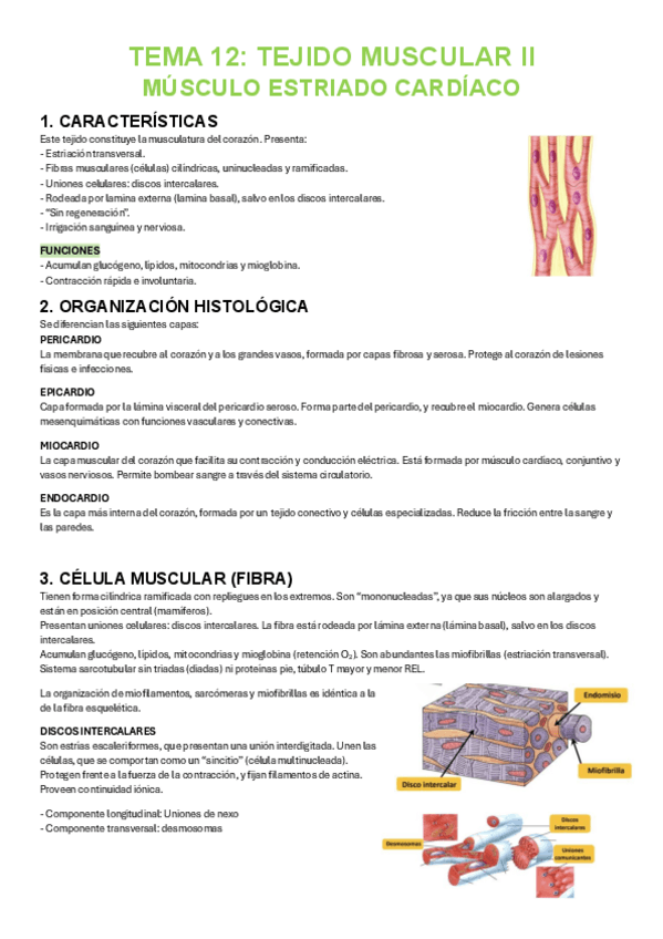 Miniatura del documento HISTOLOGIA-TEMA-12.pdf