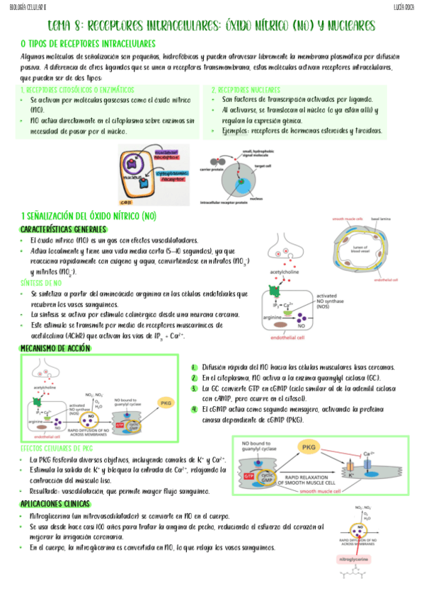Miniatura del documento tema-8-biocel-II.pdf
