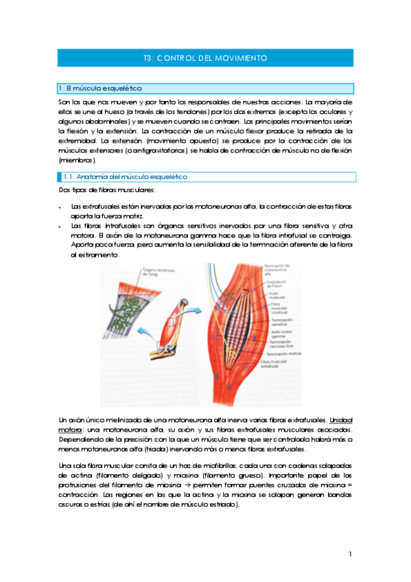 Miniatura del documento T3Control-del-movimiento.pdf
