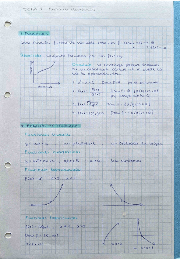 Miniatura del documento Funciones-elementales-y-limites.pdf