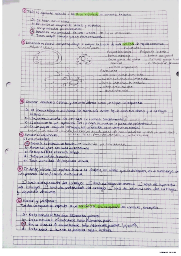 Miniatura del documento DOC-20241028-WA0034.pdf