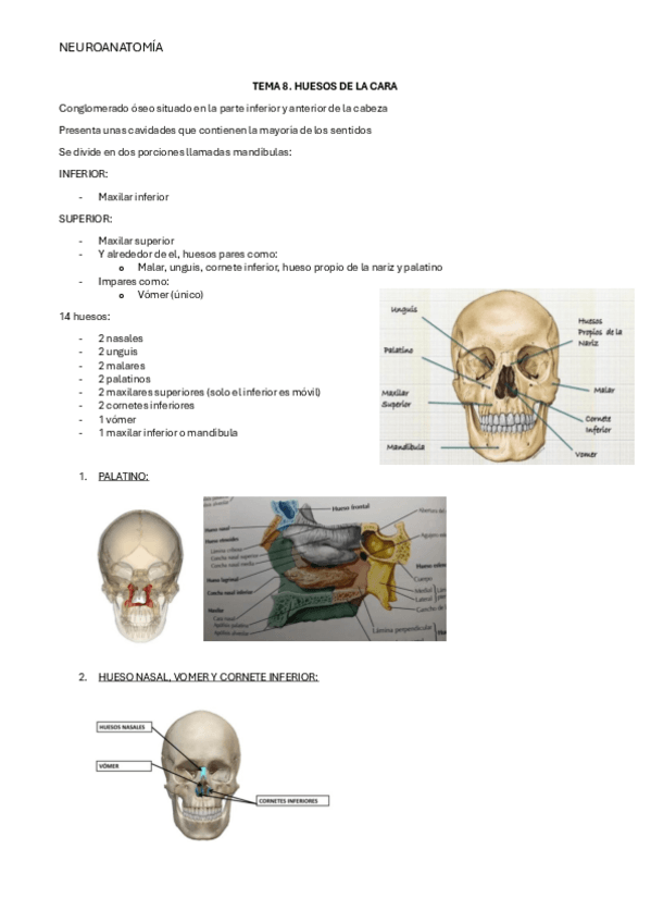 Miniatura del documento NEURO-TEMA-8.pdf