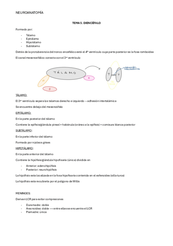 Miniatura del documento NEURO-TEMA-5.pdf