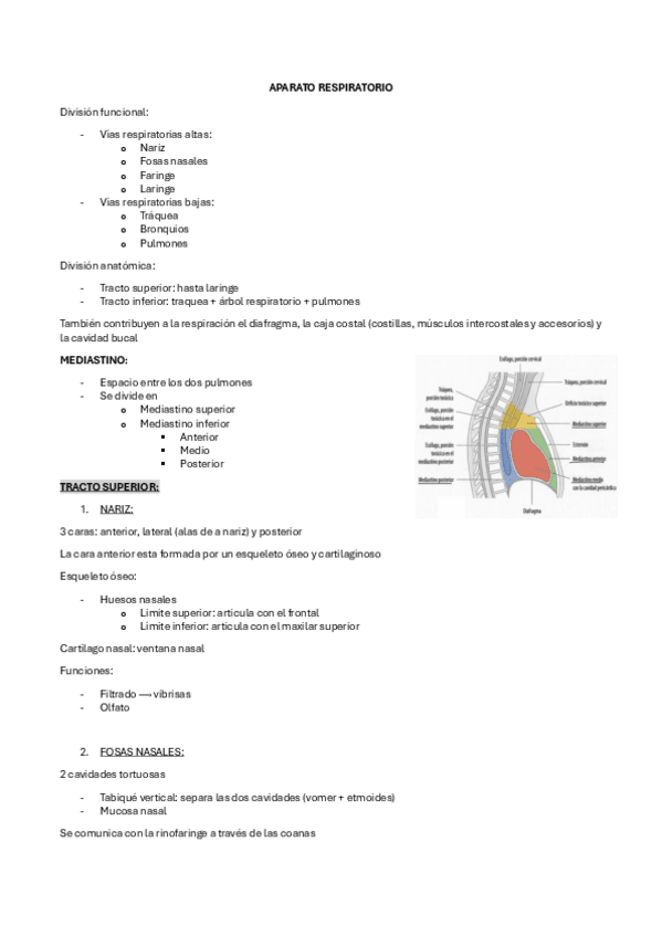 Miniatura del documento APARATO-RESPIRATORIO.pdf