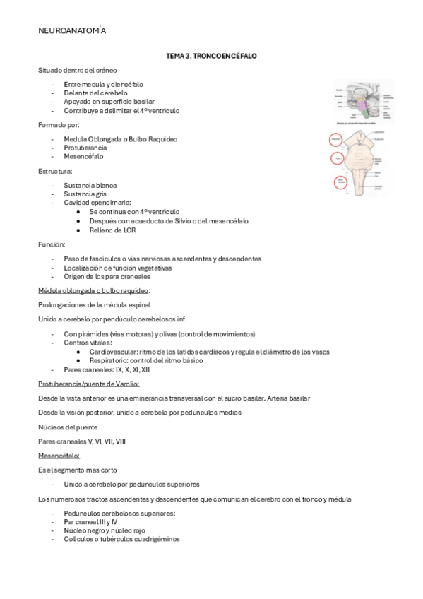 Miniatura del documento NEURO-TEMA-3.pdf