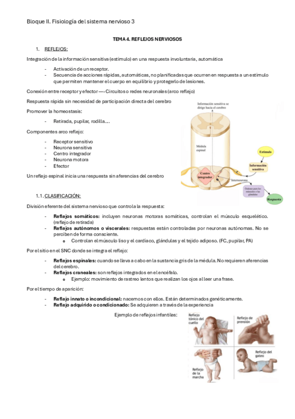 Miniatura del documento FISIO-BLOQUE-2-TEMA-3.4.pdf