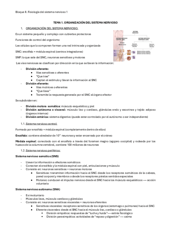 Miniatura del documento FISIO-BLOQUE-2-TEMA-1.1.pdf