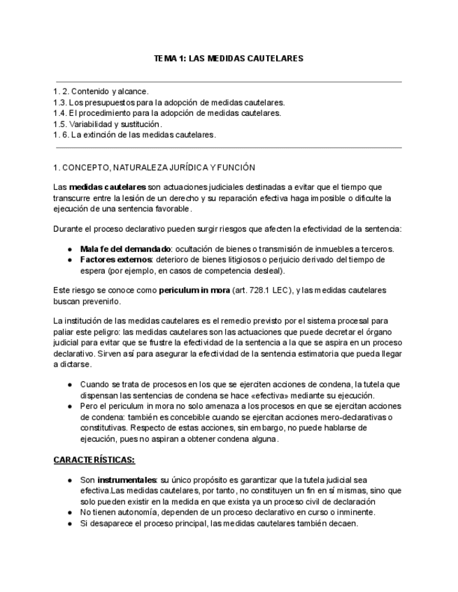 Miniatura del documento TEMA-1-PROCESAL-LAS-MEDIDAS-CAUTELARES-5.pdf