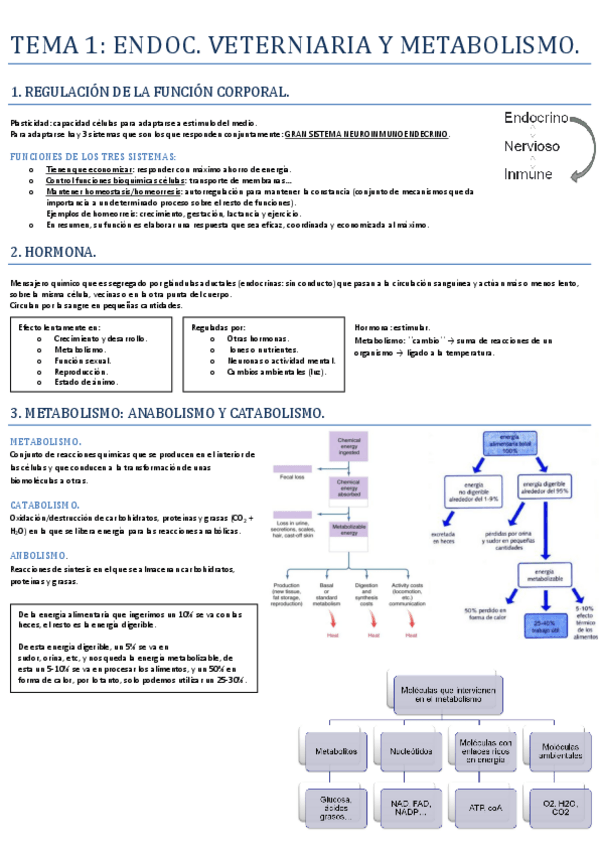 Miniatura del documento TEMA 1- ENDOCRINOLOGÍA VETERINARIA  Y METABOLISMO.pdf