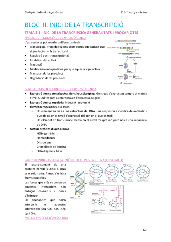 Miniatura del documento Tema 3.1.pdf