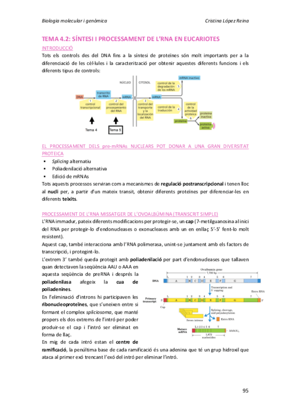 Miniatura del documento Tema 4.2.pdf