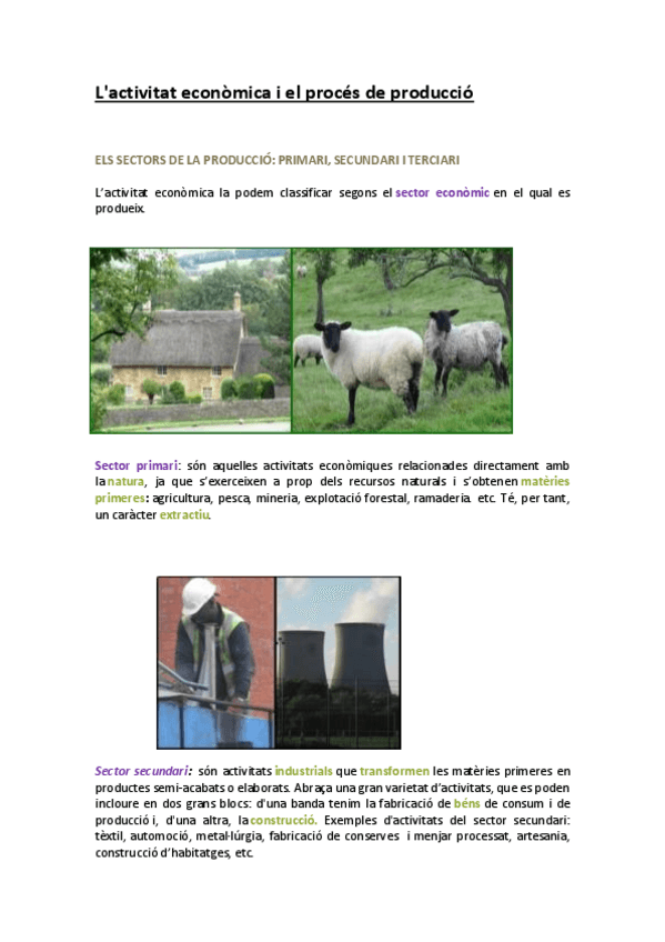 Miniatura del documento RA1.Sectors-de-produccio.pdf