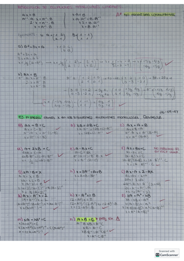 Miniatura del documento Ecuaciones-matriciales.pdf