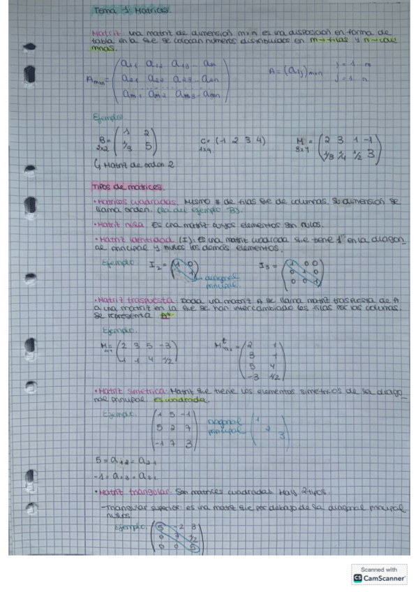 Miniatura del documento Matrices.pdf