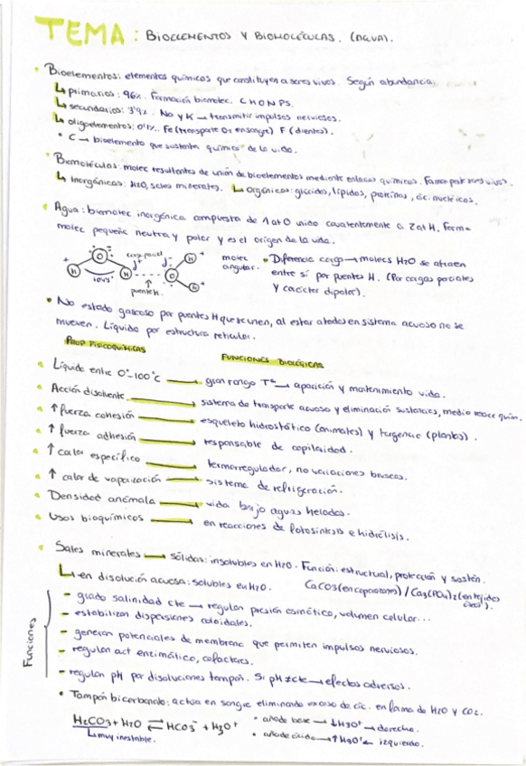 Miniatura del documento RESUMEN-TEMA-1-BIOELEMENTOS-BIOMOLECULAS-AGUA.pdf