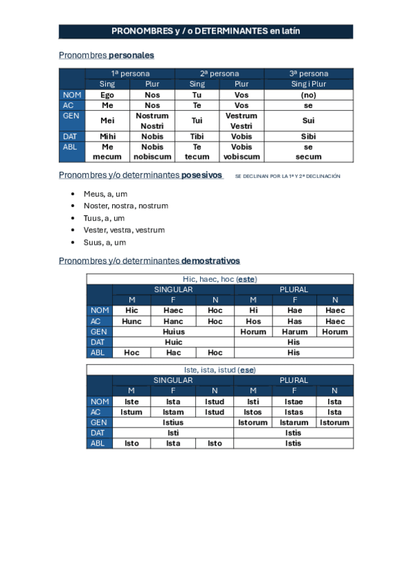 Miniatura del documento Pronoms-i-determinants.pdf