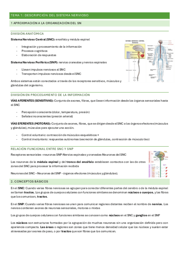 Miniatura del documento PSICOBIOLOGIA-II-temario-completo.pdf