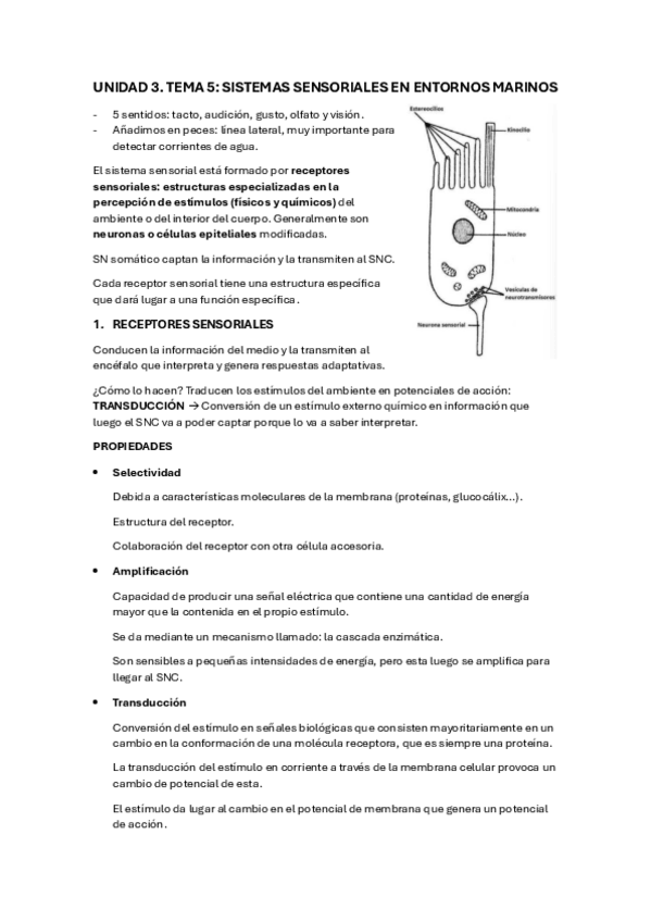 Miniatura del documento UD3-T5-FISIO.pdf