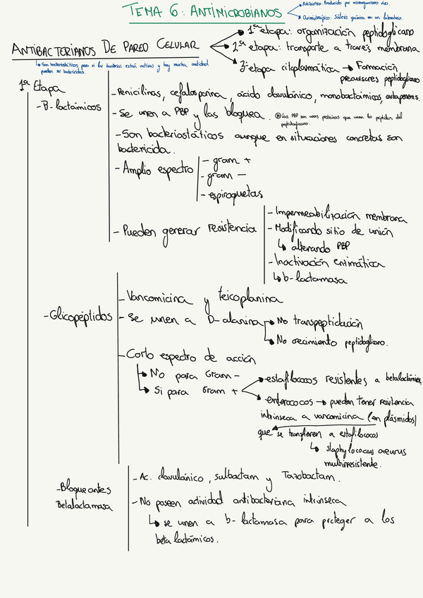 Miniatura del documento RESUMENES-MICRO-1-10.pdf