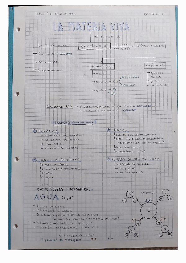 Miniatura del documento TEMA-1-La-Materia-Viva.pdf