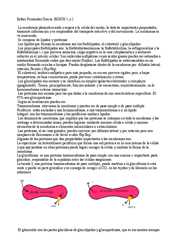 Miniatura del documento Biologia celular e Histología.pdf