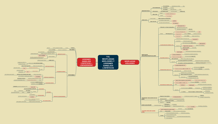 Miniatura del documento T15.-Neoplasias-mieloides-y-lesiones-benignas-ganglios-linfaticos.pdf
