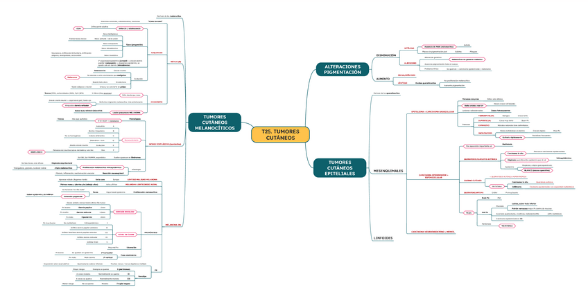 Miniatura del documento T25.-Tumores-cutaneos.pdf