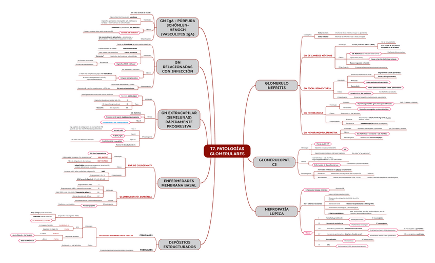 Miniatura del documento T7.-Patologias-glomerulares.pdf