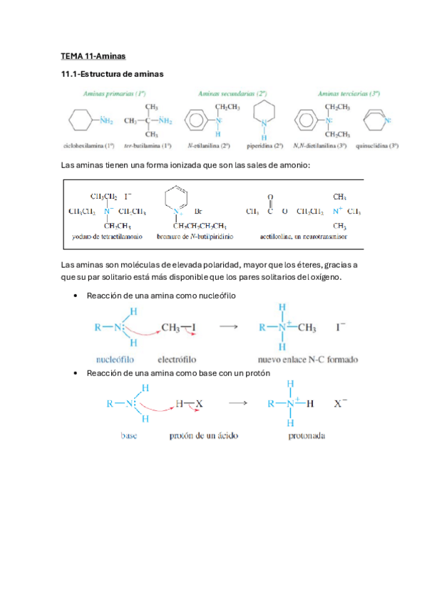Miniatura del documento TEMA-11-Aminas.pdf