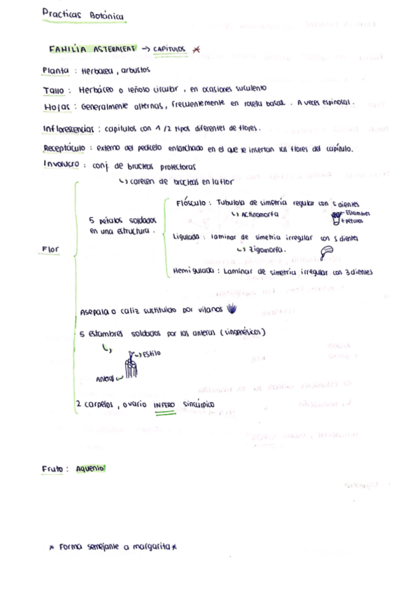 Miniatura del documento Practicas-botanica-a-mano.pdf