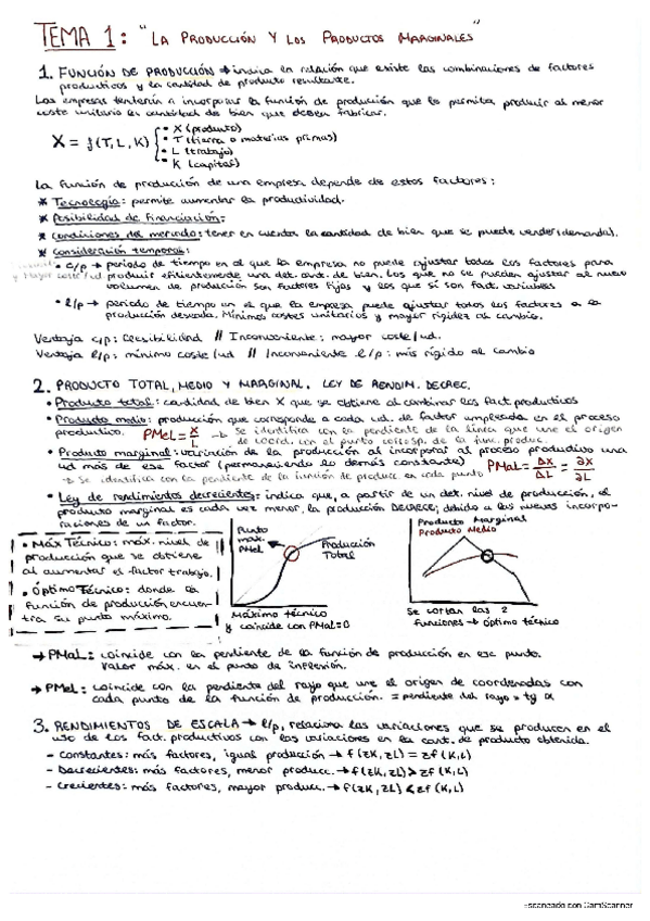 Miniatura del documento RESUMEN-DE-TODOS-LOS-TEMAS.pdf