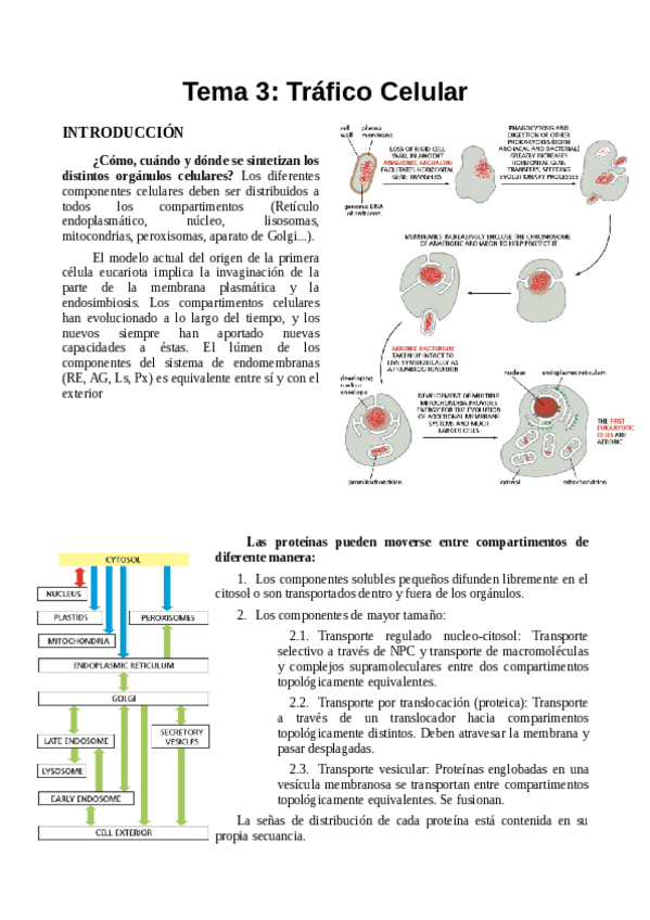 Miniatura del documento TEMA 3.pdf