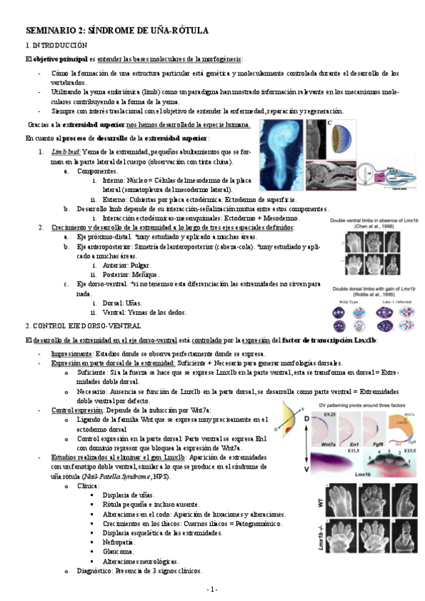 Miniatura del documento INICIACION-SEMINARIO-2-SINDROME-DE-UNA-ROTULA.pdf