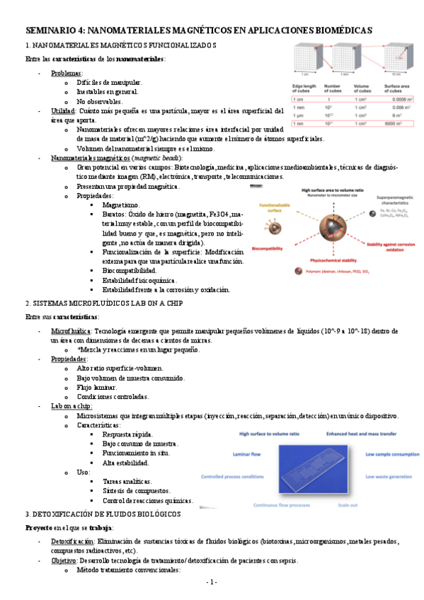 Miniatura del documento INICIACION-SEMINARIO-4-NANOMATERIALES-MAGNETICOS-EN-APLICACIONES-BIOMEDICAS.pdf