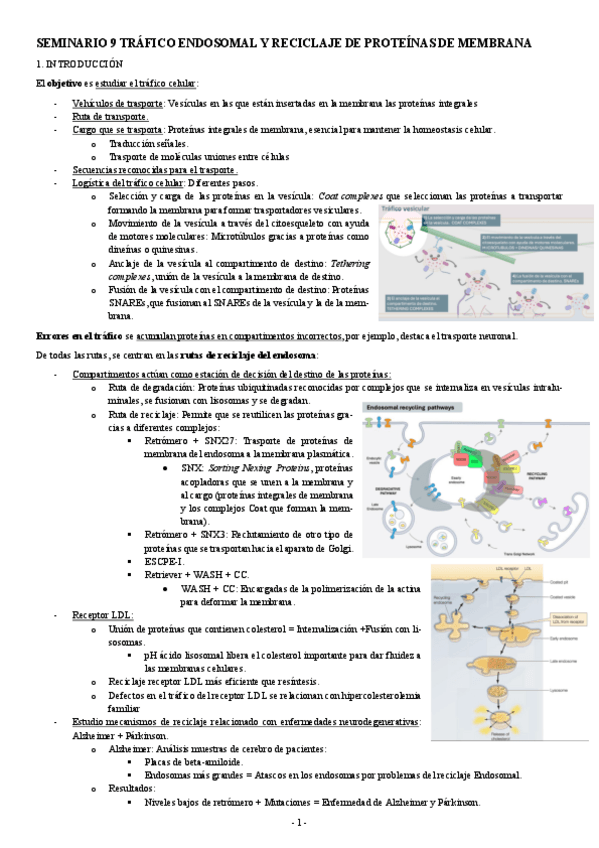 Miniatura del documento INICIACION-SEMINARIO-9-TRAFICO-ENDOSOMAL-Y-RECICLAJE-DE-PROTEINAS-DE-MEMBRANA.pdf