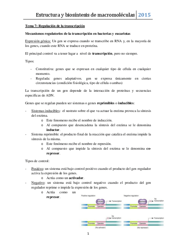 Miniatura del documento Tema 7.pdf