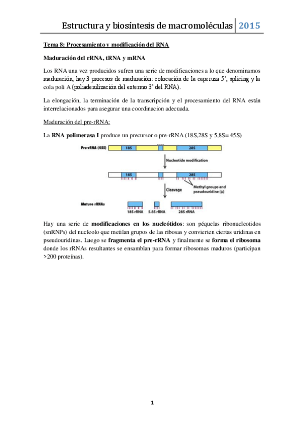 Miniatura del documento Tema 8.pdf