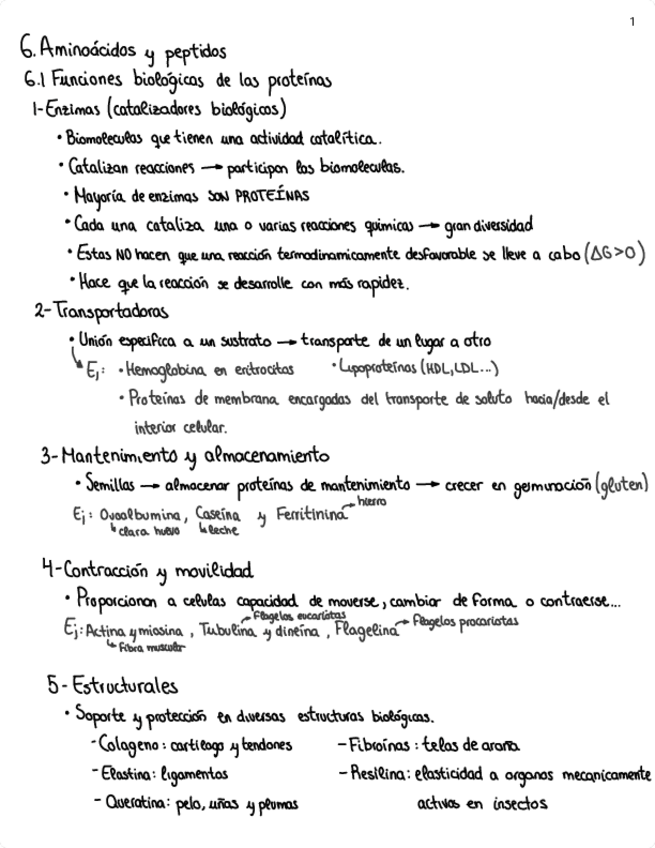 Miniatura del documento Aminoacidos-y-peptidos.pdf