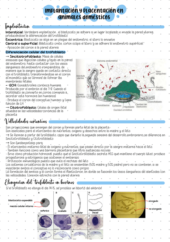 Miniatura del documento Implantacion-y-placentacion-en-animales-domesticos.pdf