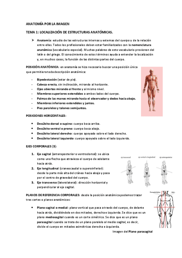 Miniatura del documento Tema-1-Localizacion-de-estructuras-anatomicas.pdf