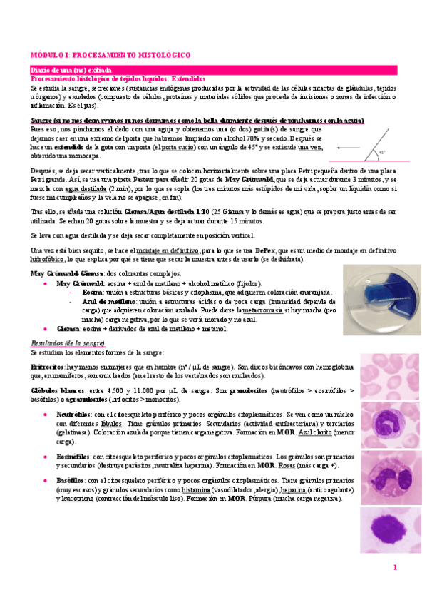 Miniatura del documento Apuntes-Laboratorio-Avanzado-de-Biologia-Celular.pdf