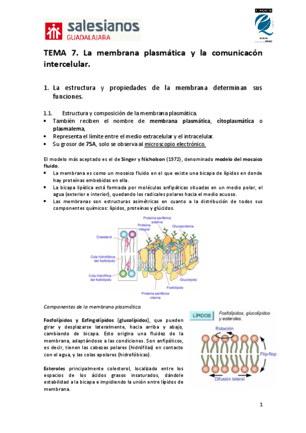 Miniatura del documento Tema-7-la-membrana-plasmatica.pdf