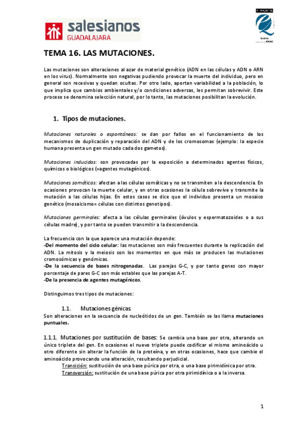 Miniatura del documento Apuntes-tema-16.-Las-mutaciones-2025.pdf