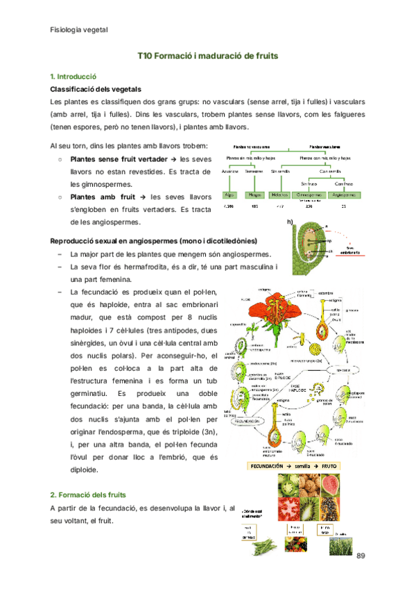Miniatura del documento T10-Formacio-i-maduracio-de-fruits.pdf