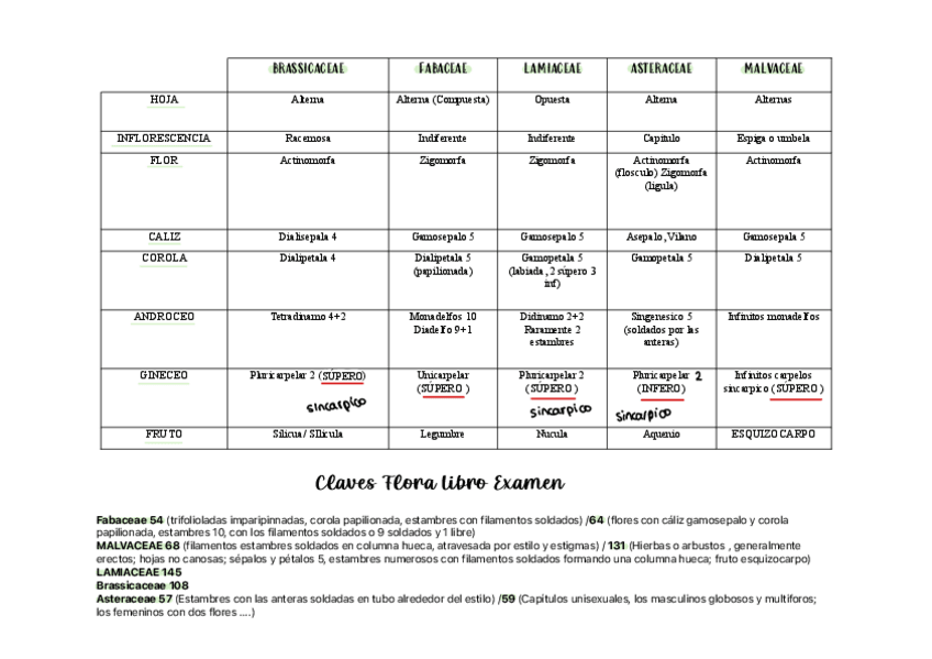 Miniatura del documento TABLA-FAMILIAS-con-claves-examen.pdf